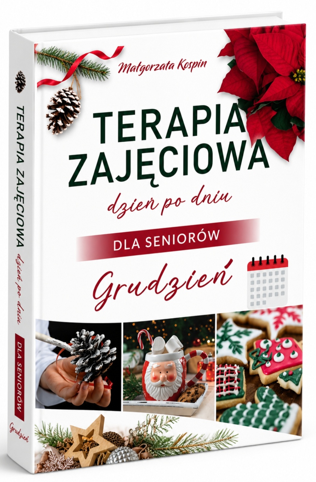 „Terapia zajęciowa dzień po dniu dla seniorów. Grudzień” „Terapia zajęciowa dzień po dniu dla seniorów. Grudzień”
